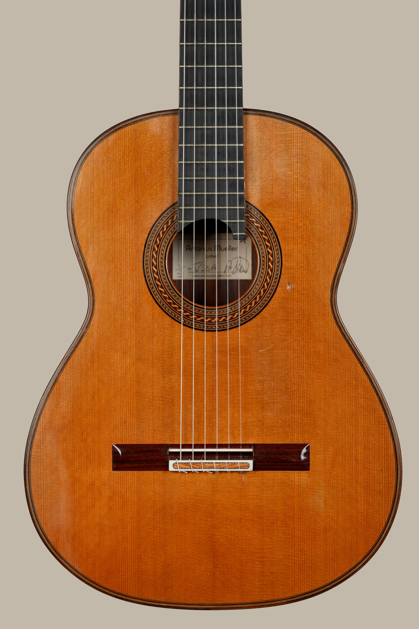 Antonius Müller 2016 (ex. Adam Holzman) – Cedar Double Top, Indian Rosewood