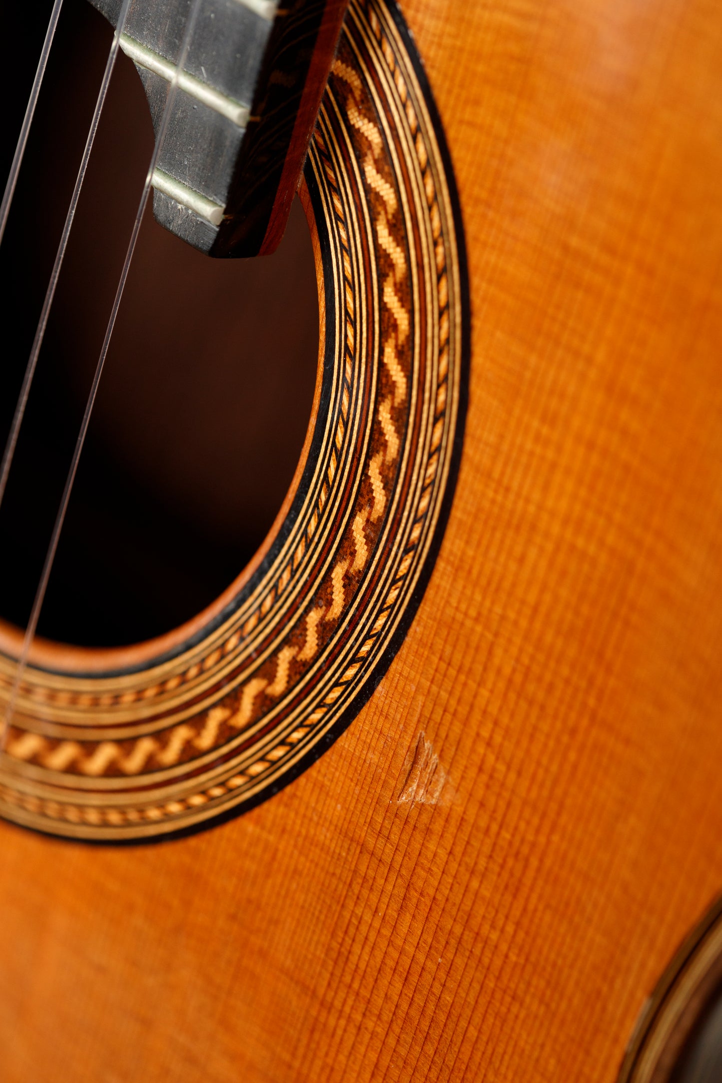 Antonius Müller 2016 (ex. Adam Holzman) – Cedar Double Top, Indian Rosewood
