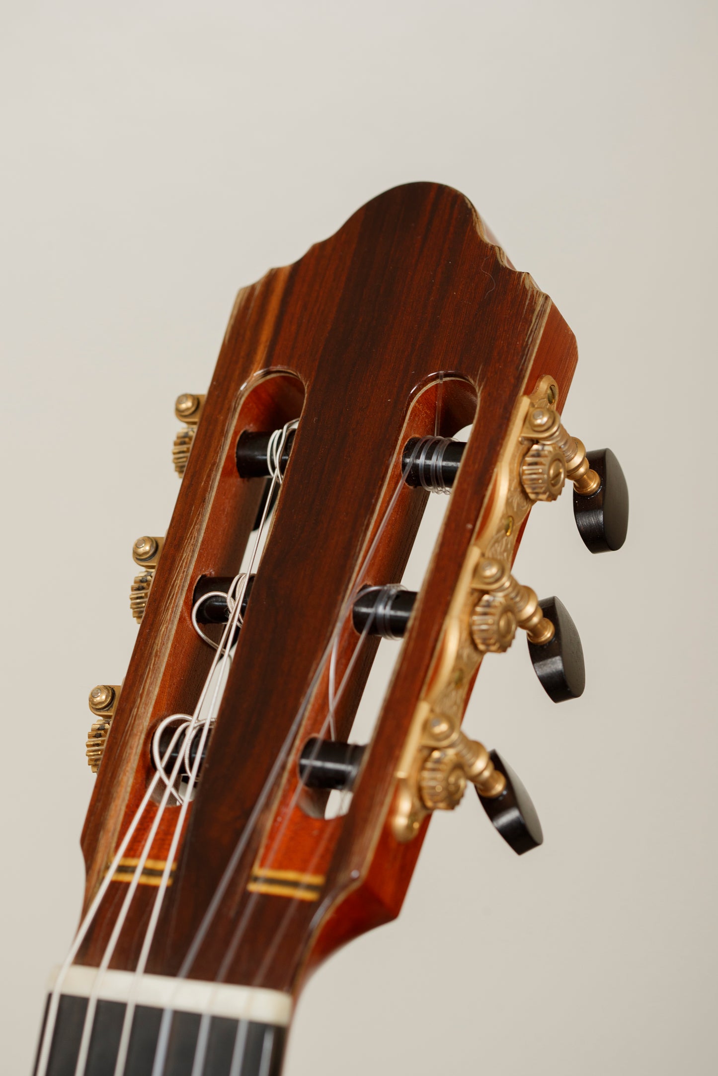 Antonius Müller 2016 (ex. Adam Holzman) – Cedar Double Top, Indian Rosewood