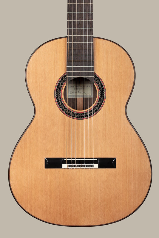 Dieter Müller 7 String 2024