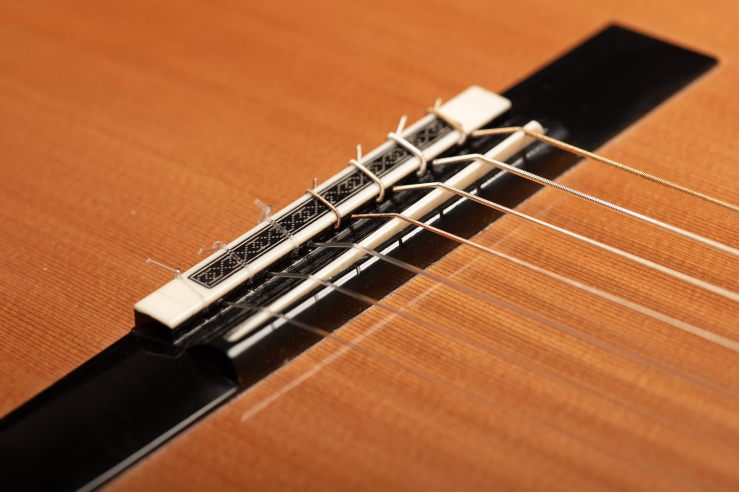 Dieter Müller 7 String 2024