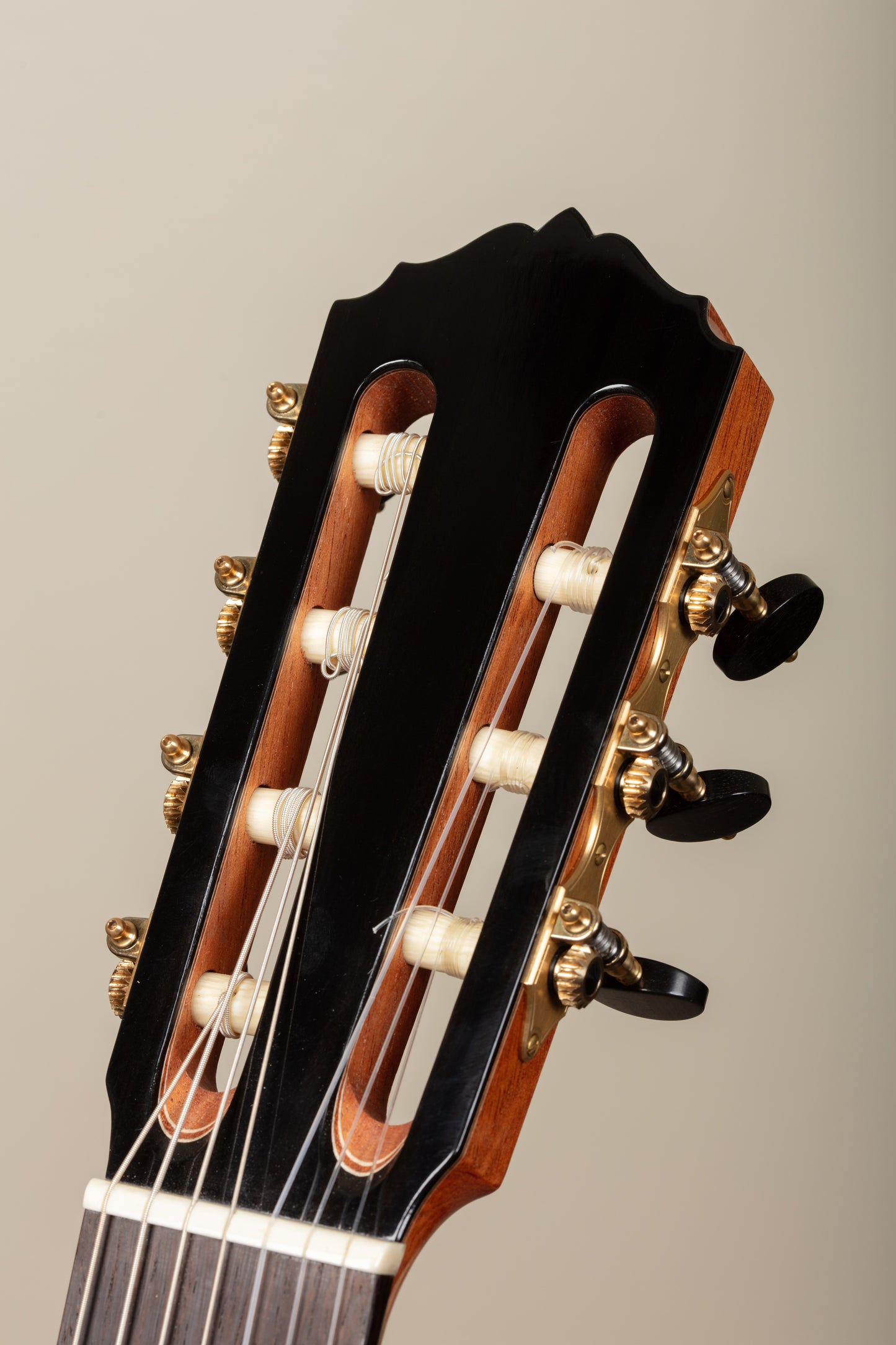 Dieter Müller 7 String 2024