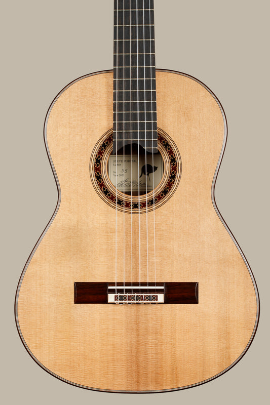 Steve Porter – 2025 | Cedar Lattice Doubletop | Indian Rosewood | Built for GuitarCollection.com