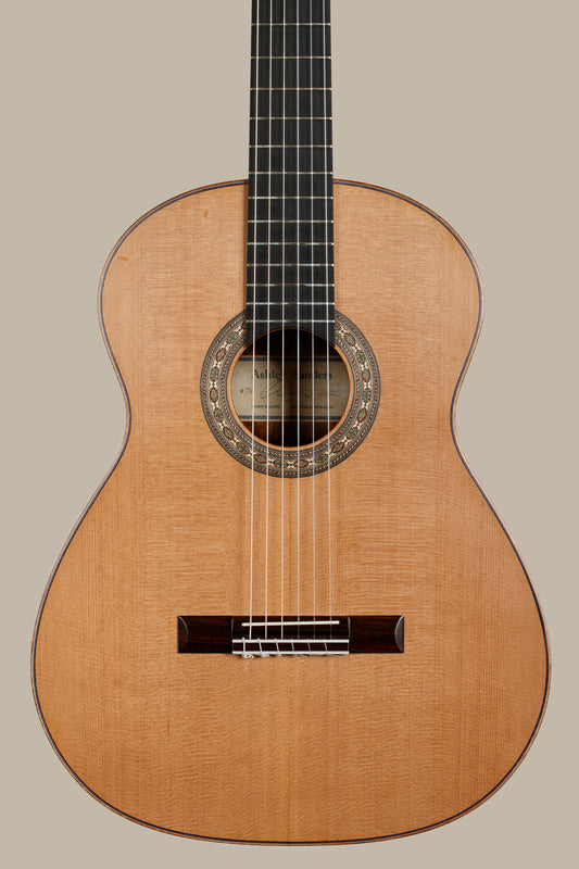 2025 Ashley Sanders Lattice Guitar