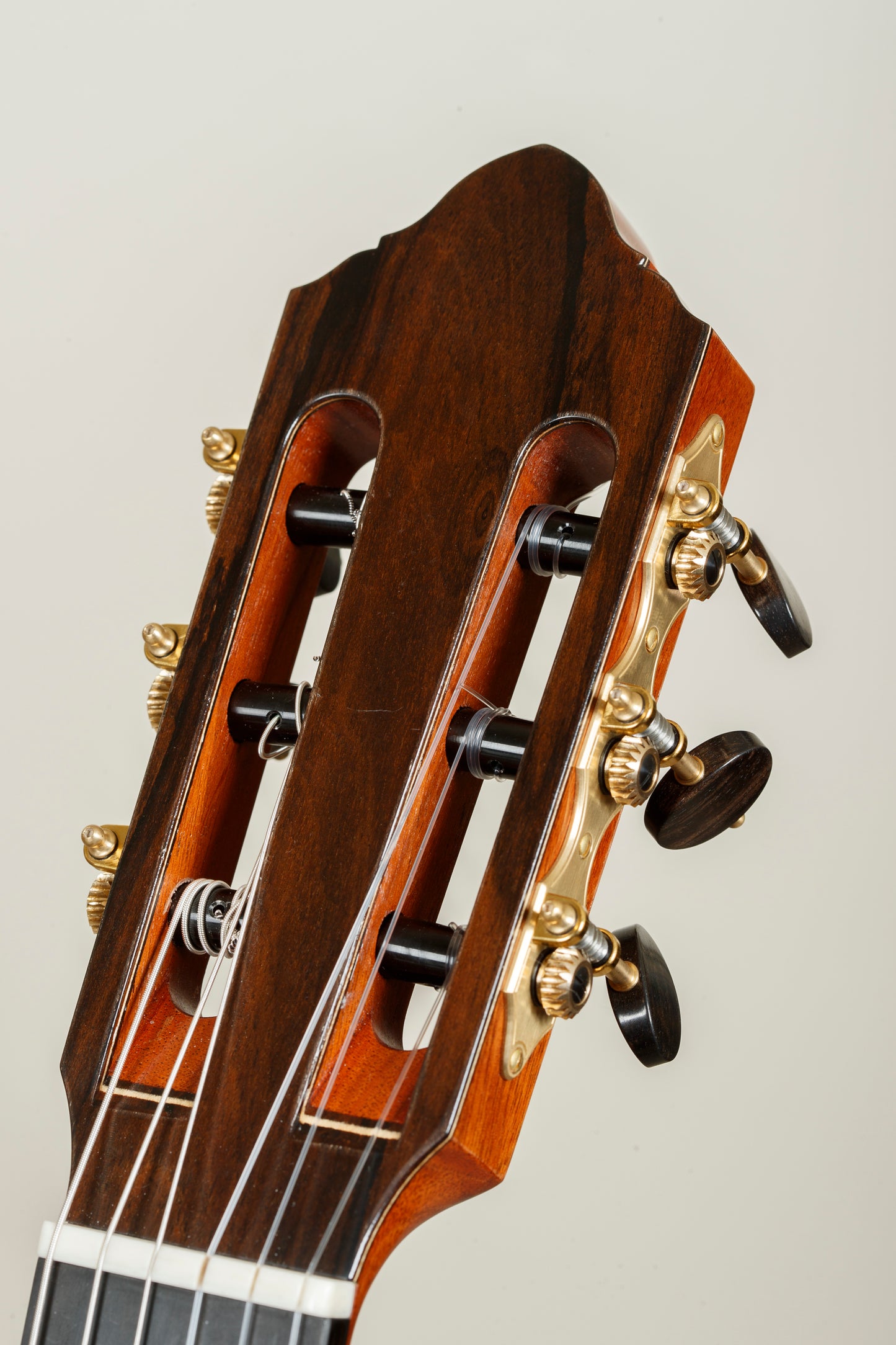 2025 Ashley Sanders Lattice Guitar