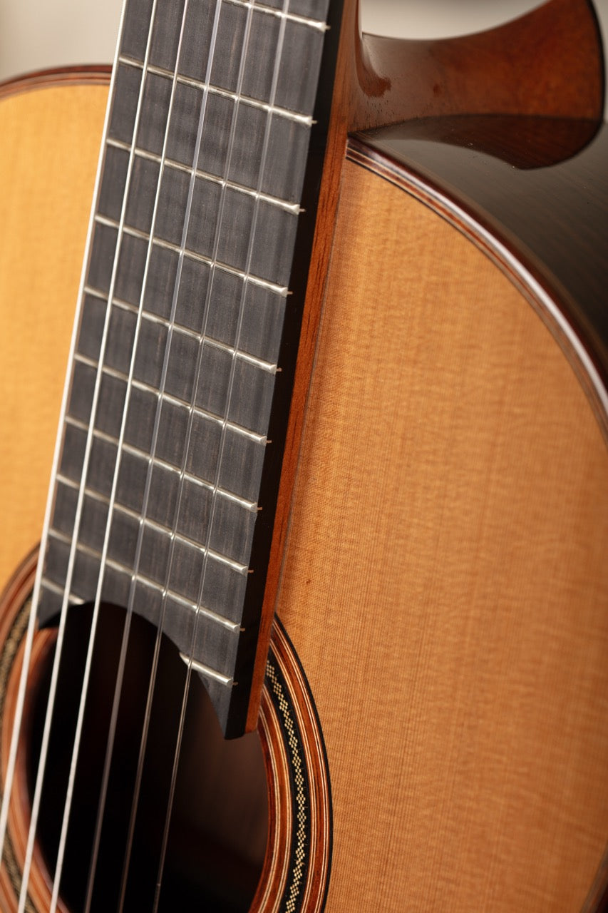 Nils Schebesta Cedar Doubletop 2025