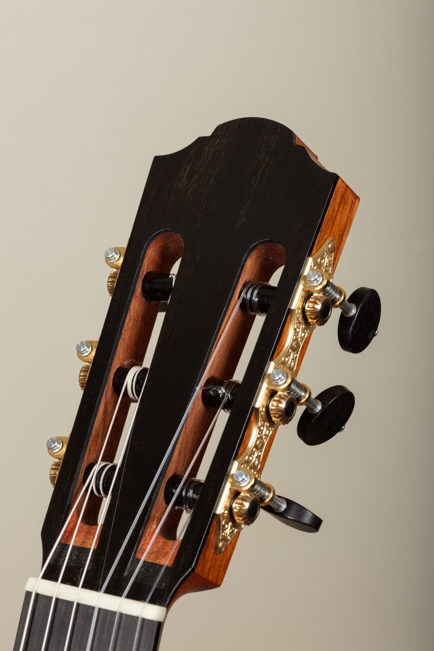 Nils Schebesta Cedar Doubletop 2025