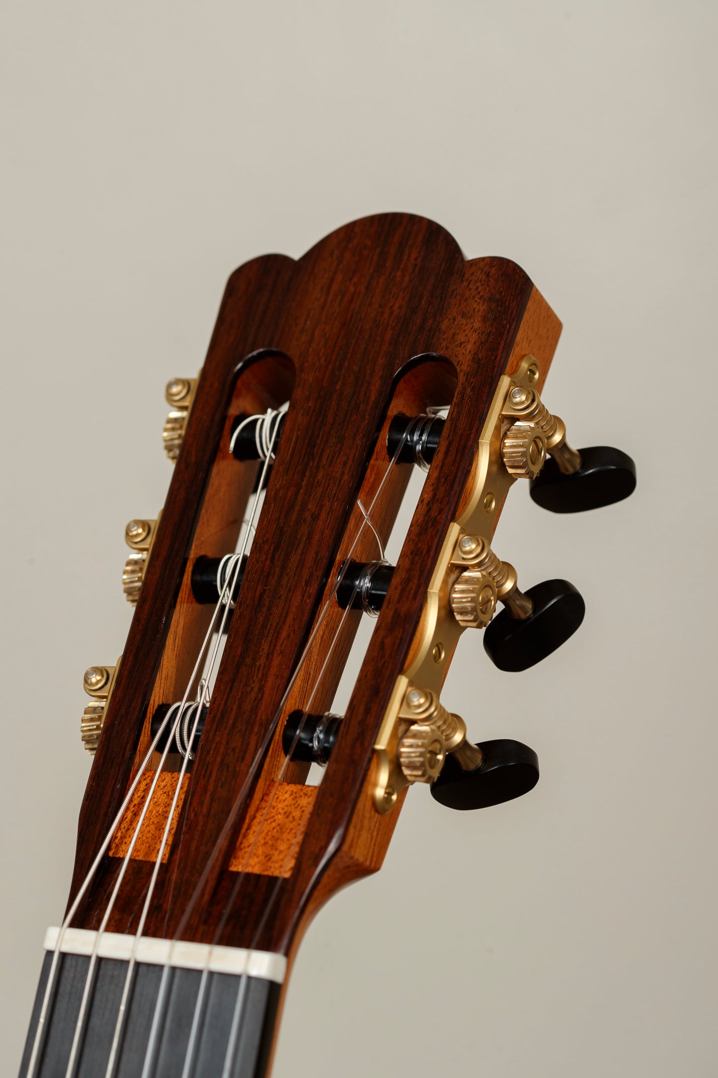 Douglass Scott – 2025 Cedar, Wenge, Soundport, 650mm