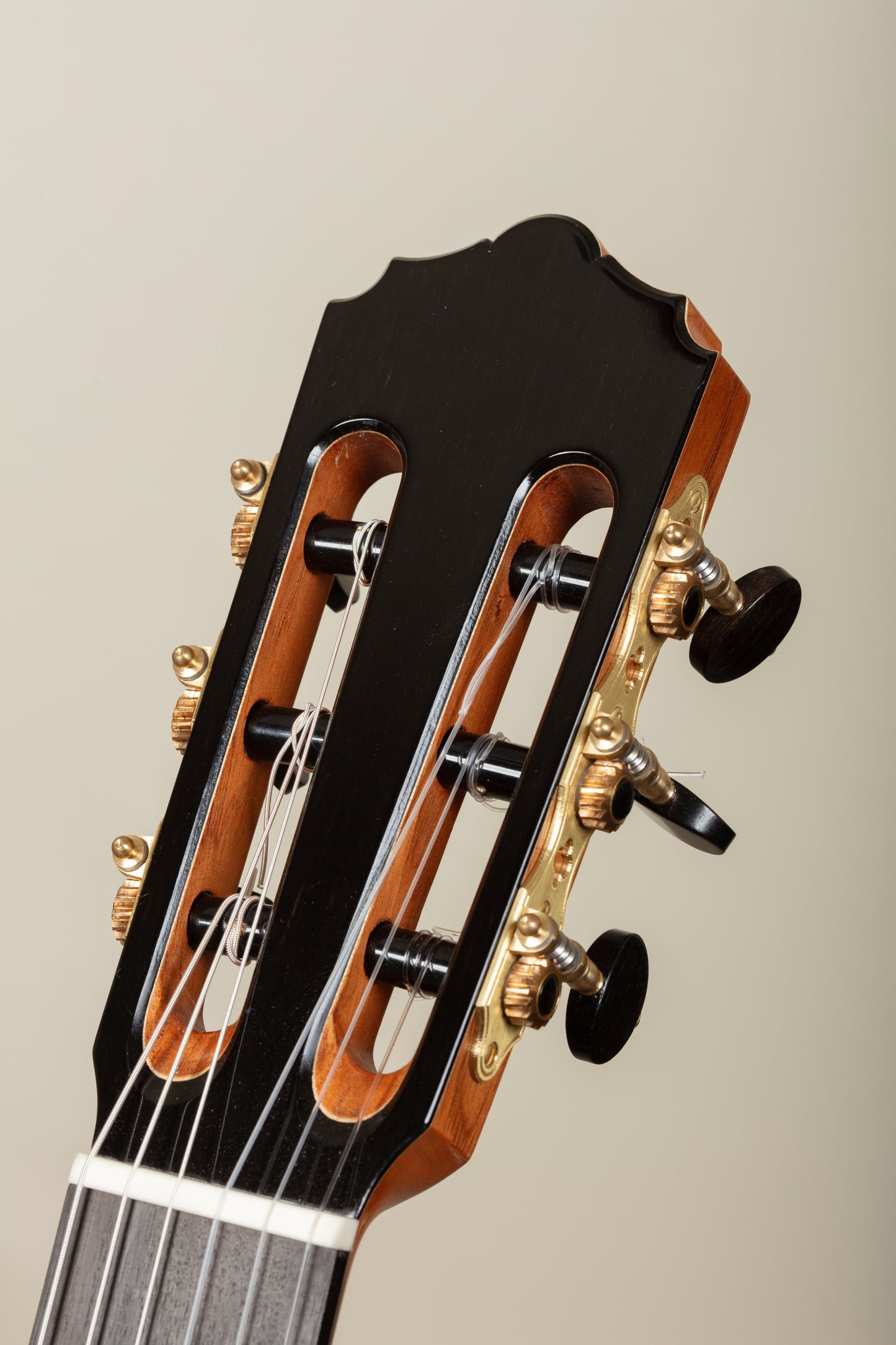 2026 Daniel Stark Concert Double Top | 630mm Scale