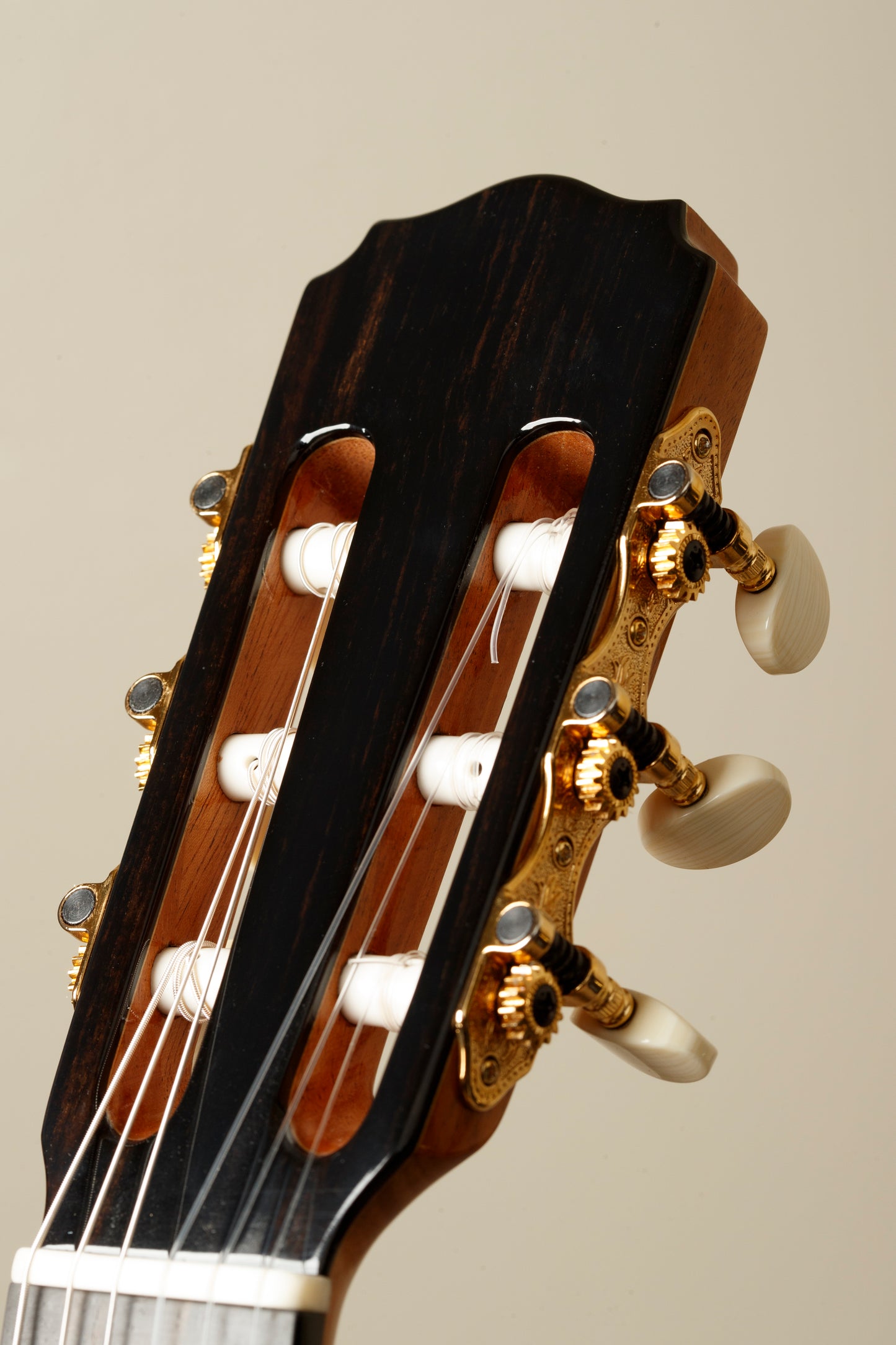 Daniel Stark "Española II" - Spruce/Wenge - NEW