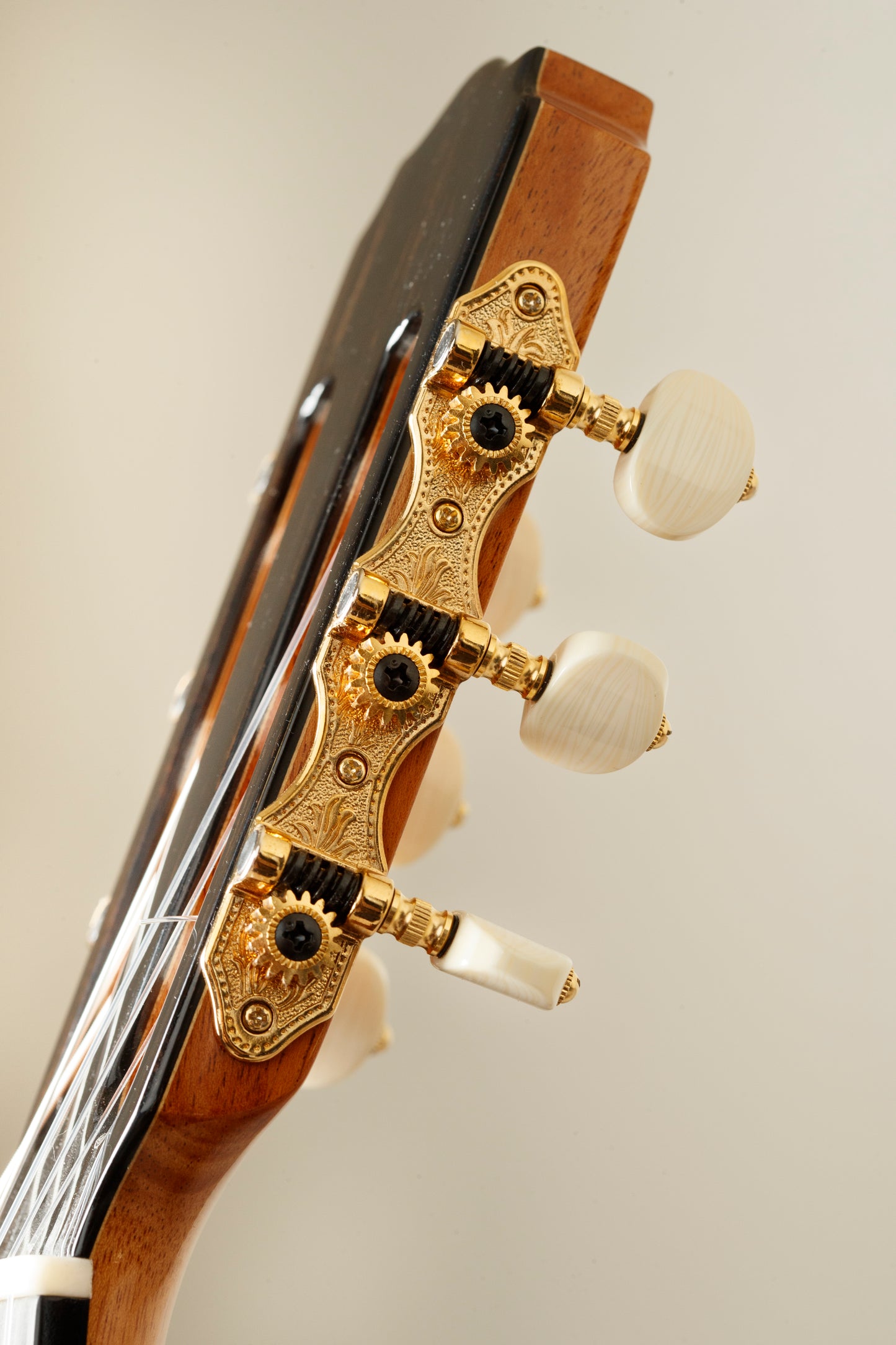 Daniel Stark "Española II" - Spruce/Wenge - NEW