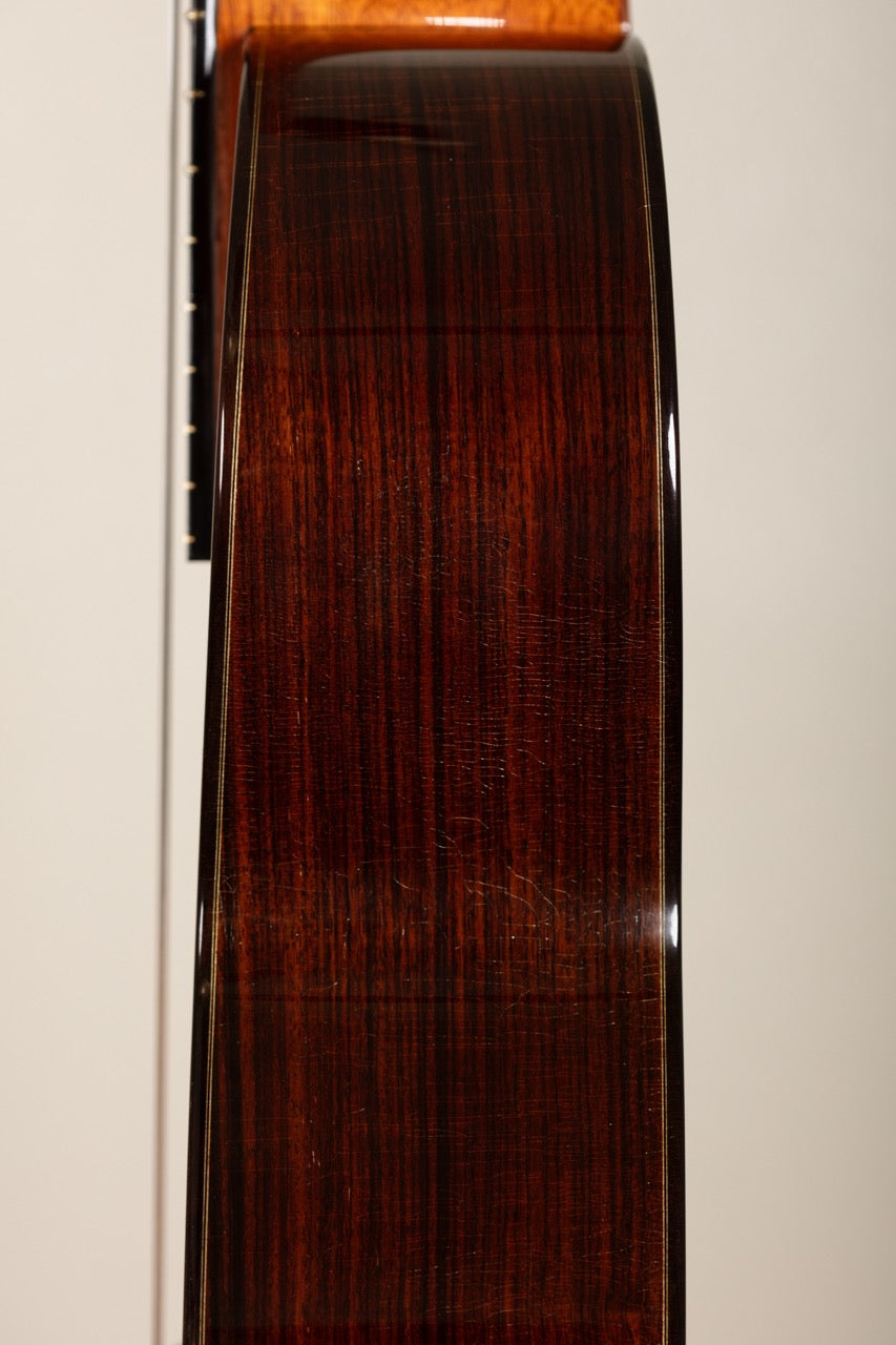 Andrea Tacchi Coclea 1998