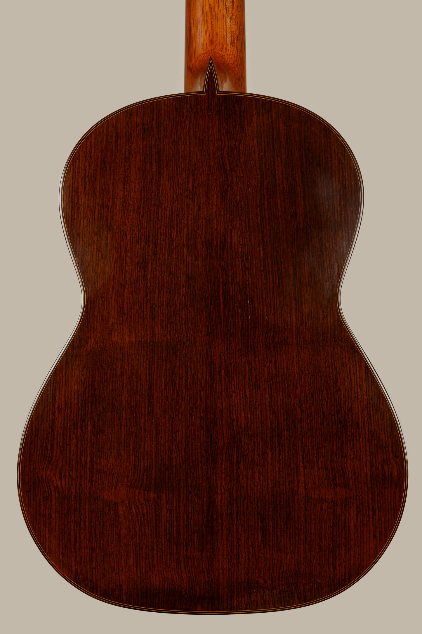 Andrea Tacchi 2010 Coclea Thucea (No. 343) – Wenge / Spruce and Cedar