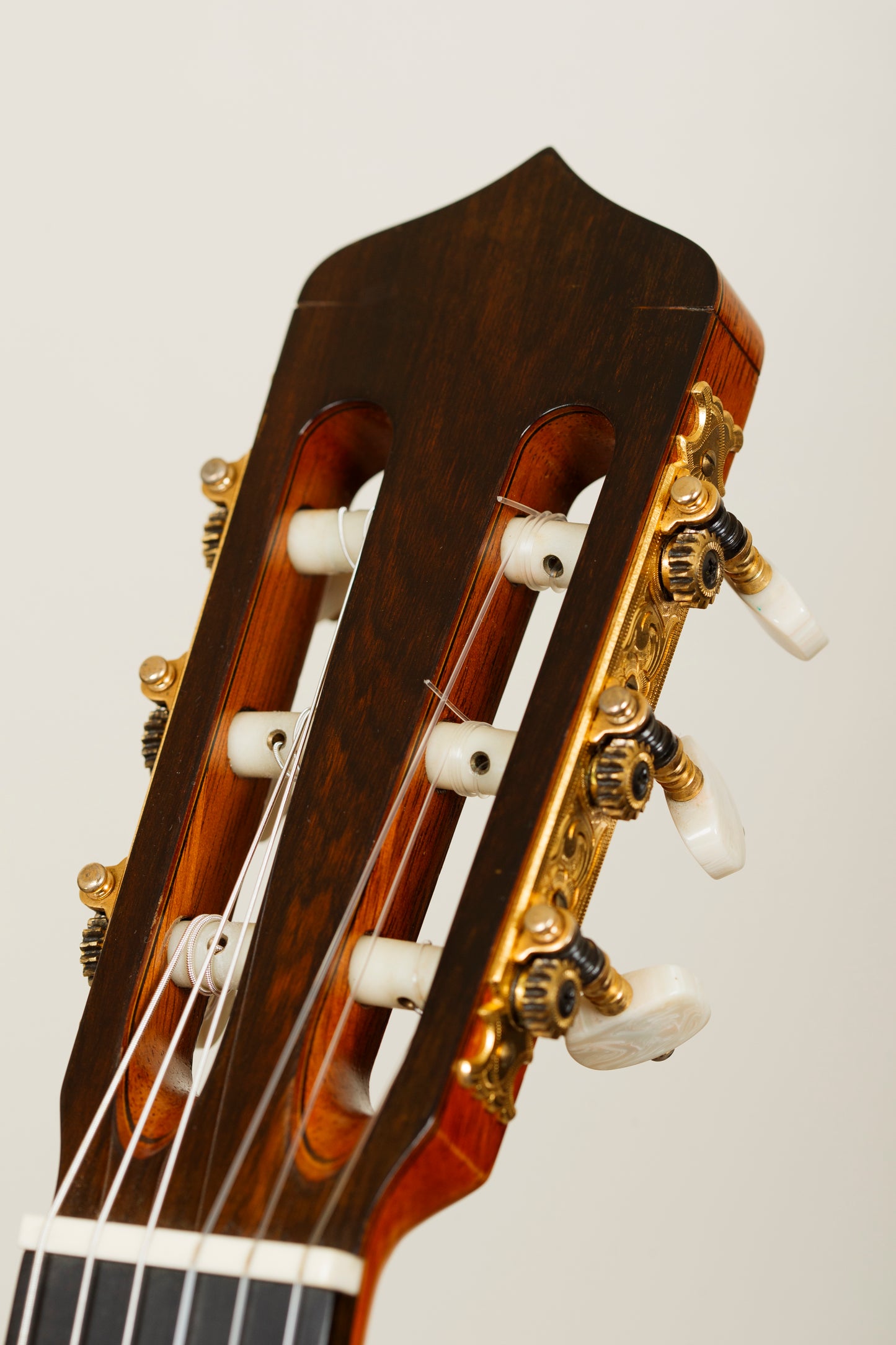 Andrea Tacchi 2010 Coclea Thucea (No. 343) – Wenge / Spruce and Cedar