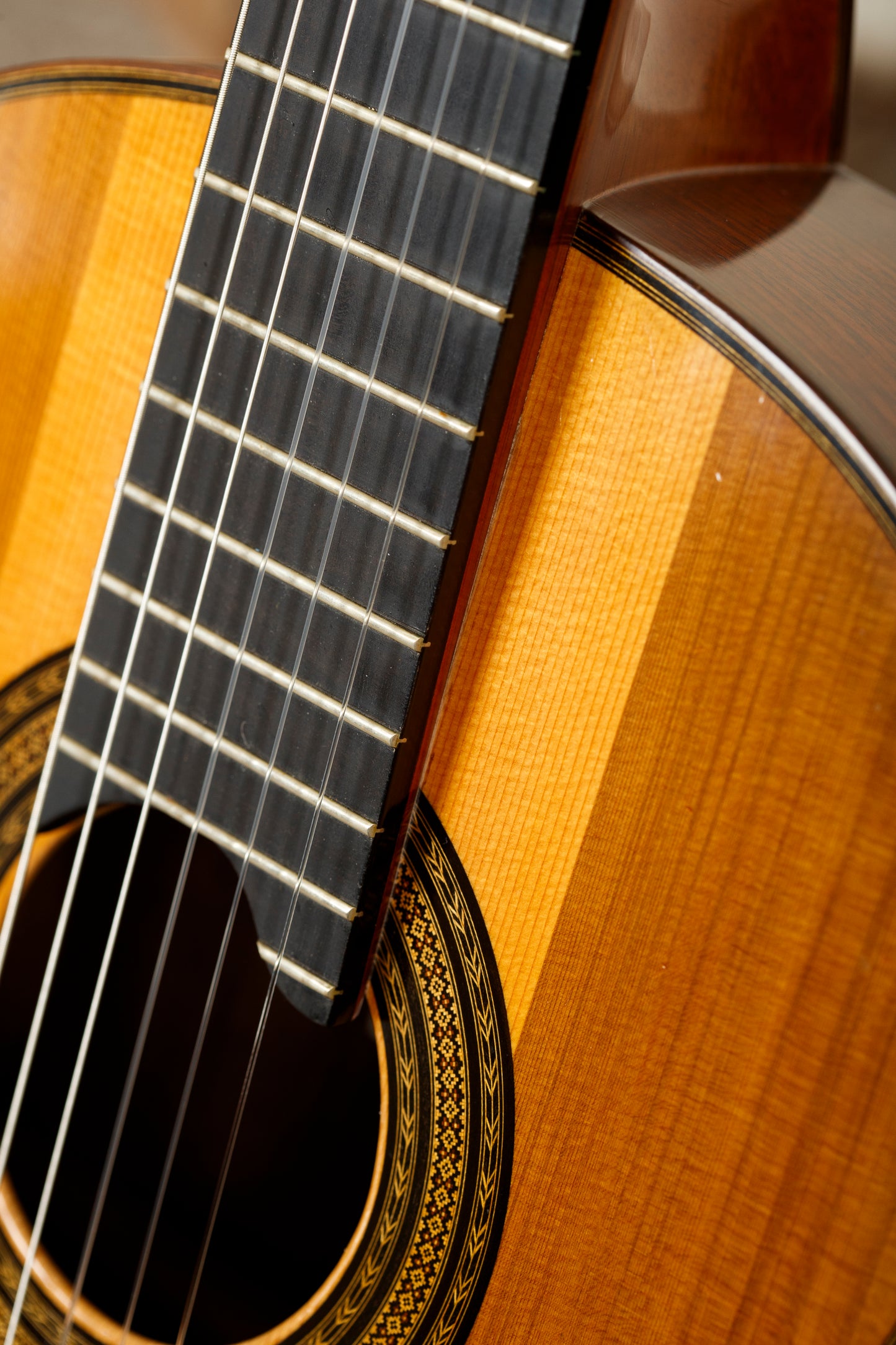 Andrea Tacchi 2010 Coclea Thucea (No. 343) – Wenge / Spruce and Cedar