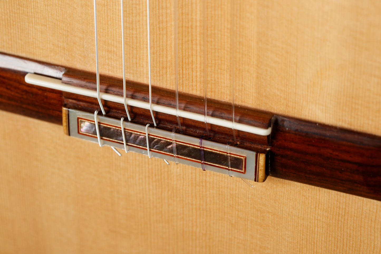 Tobias Braun 2023 Spruce / Indian Rosewood