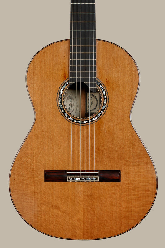 Dake Traphagen 2007 Cedar/Brazilian