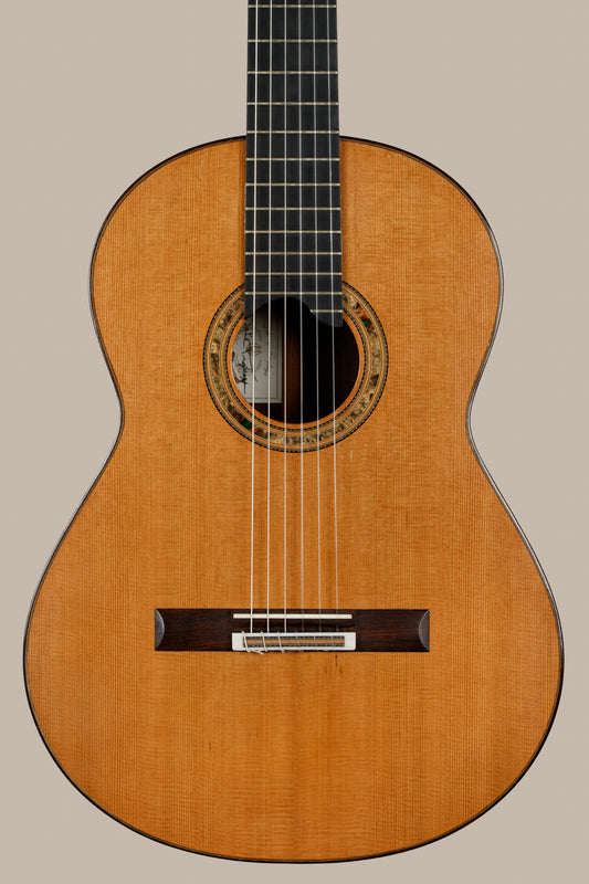 Dake Traphagen Doubletop 2013 Cedar/Brazilian Rosewood