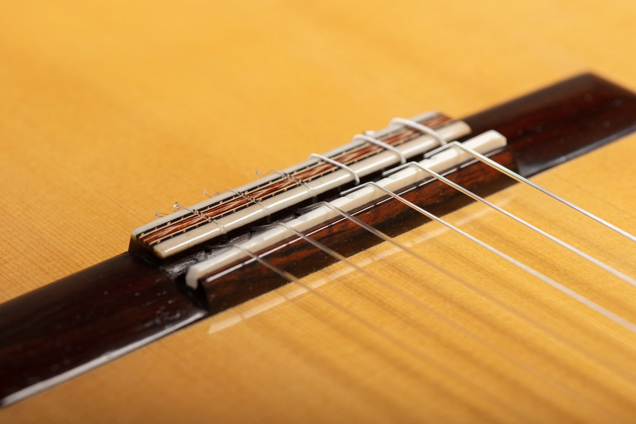 Dake Traphagen Mahogany