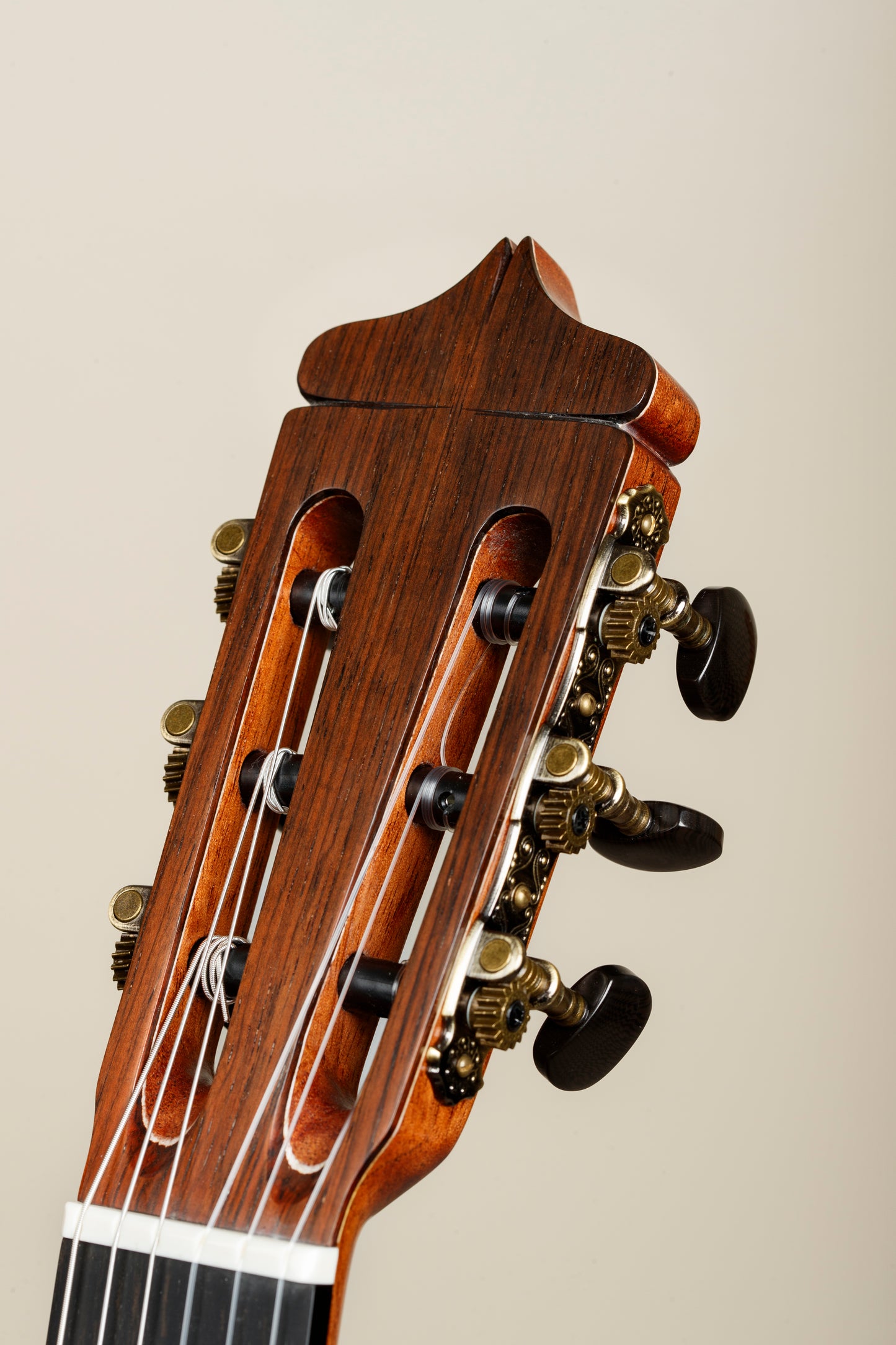 Dake Traphagen "Simplicio" 2024 - Spruce/Indian Rosewood