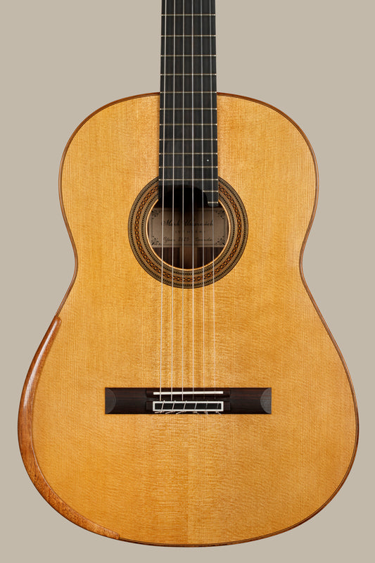 Mark Usherovich 2025 (Spruce Doubletop)