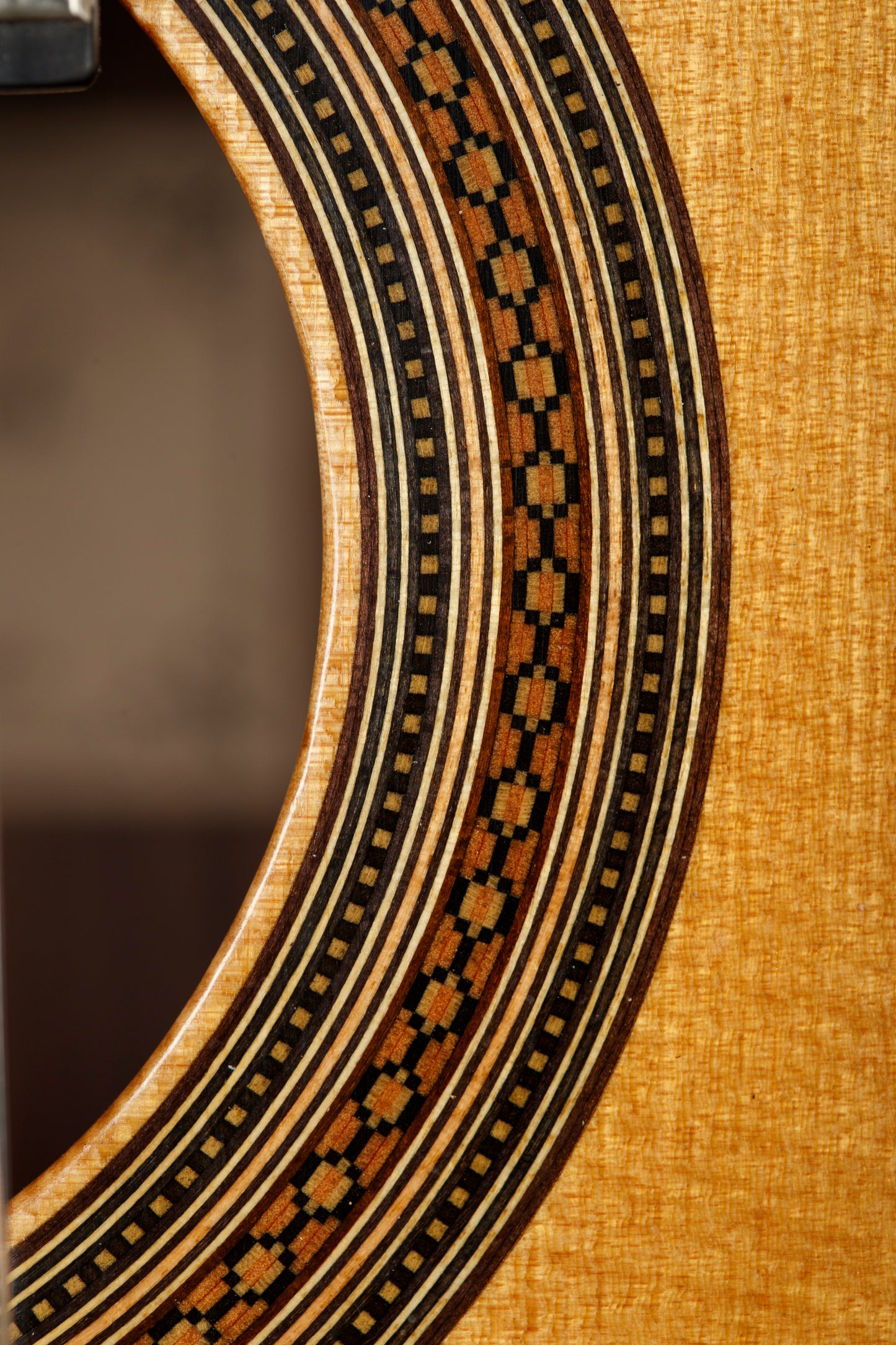 Mark Usherovich 2025 (Spruce Doubletop)