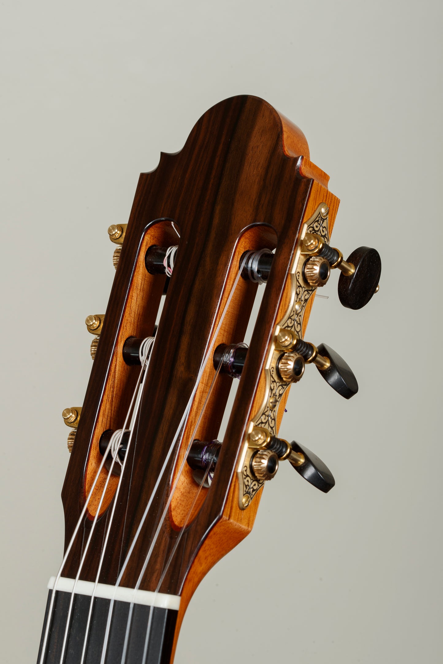 Mark Usherovich 2025 (Spruce Doubletop)