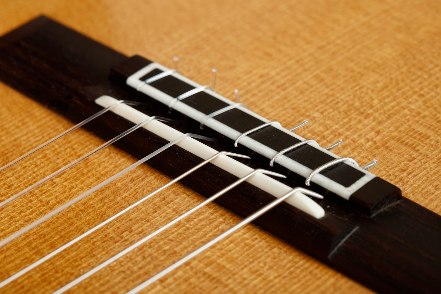 Mark Usherovich 2025 (Spruce Doubletop)