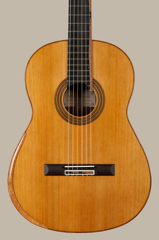 Mark Usherovich – 2025 Cedar/Balsa Double Top, Indian Rosewood, 648mm