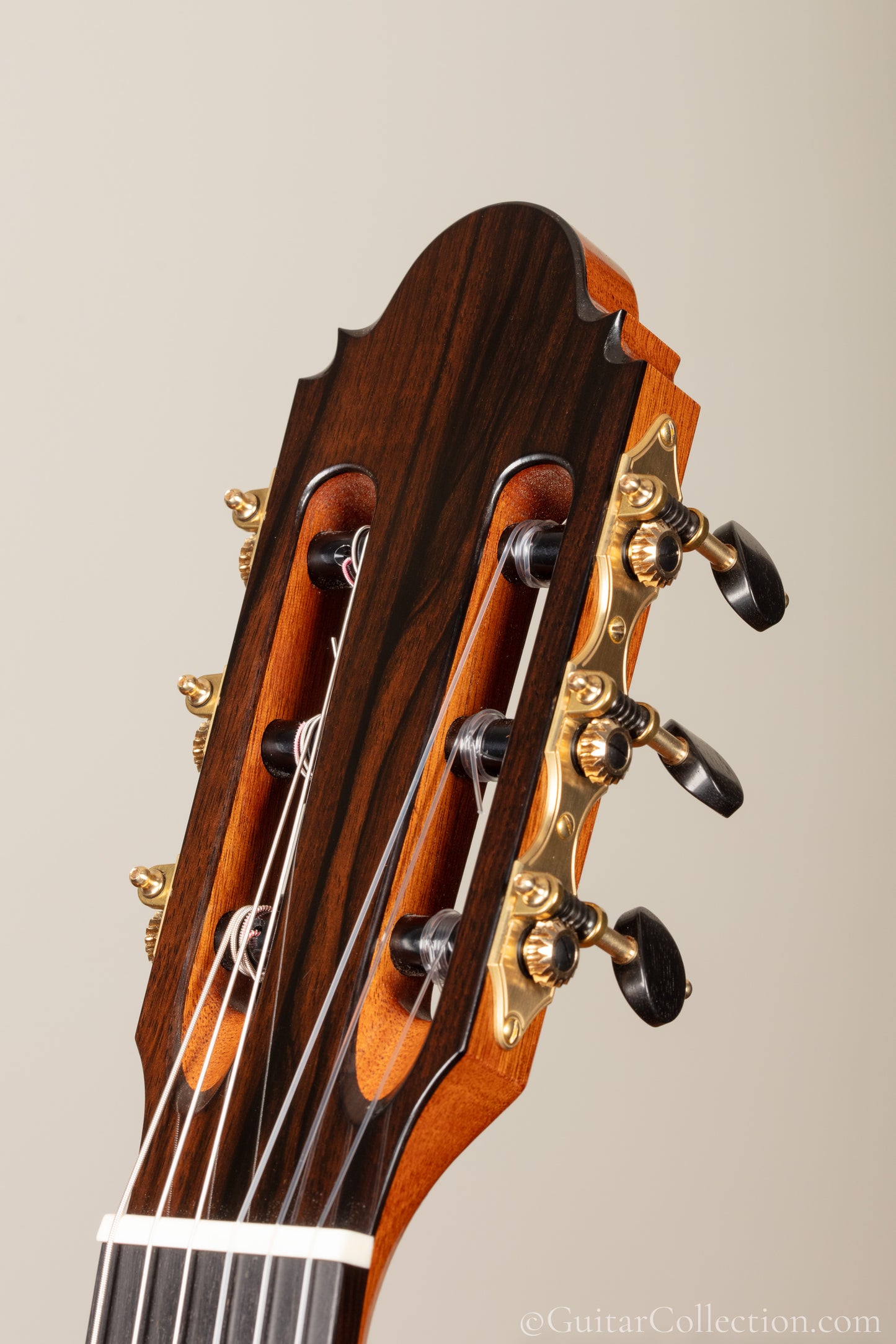 Mark Usherovich 2026 Spruce Doubletop