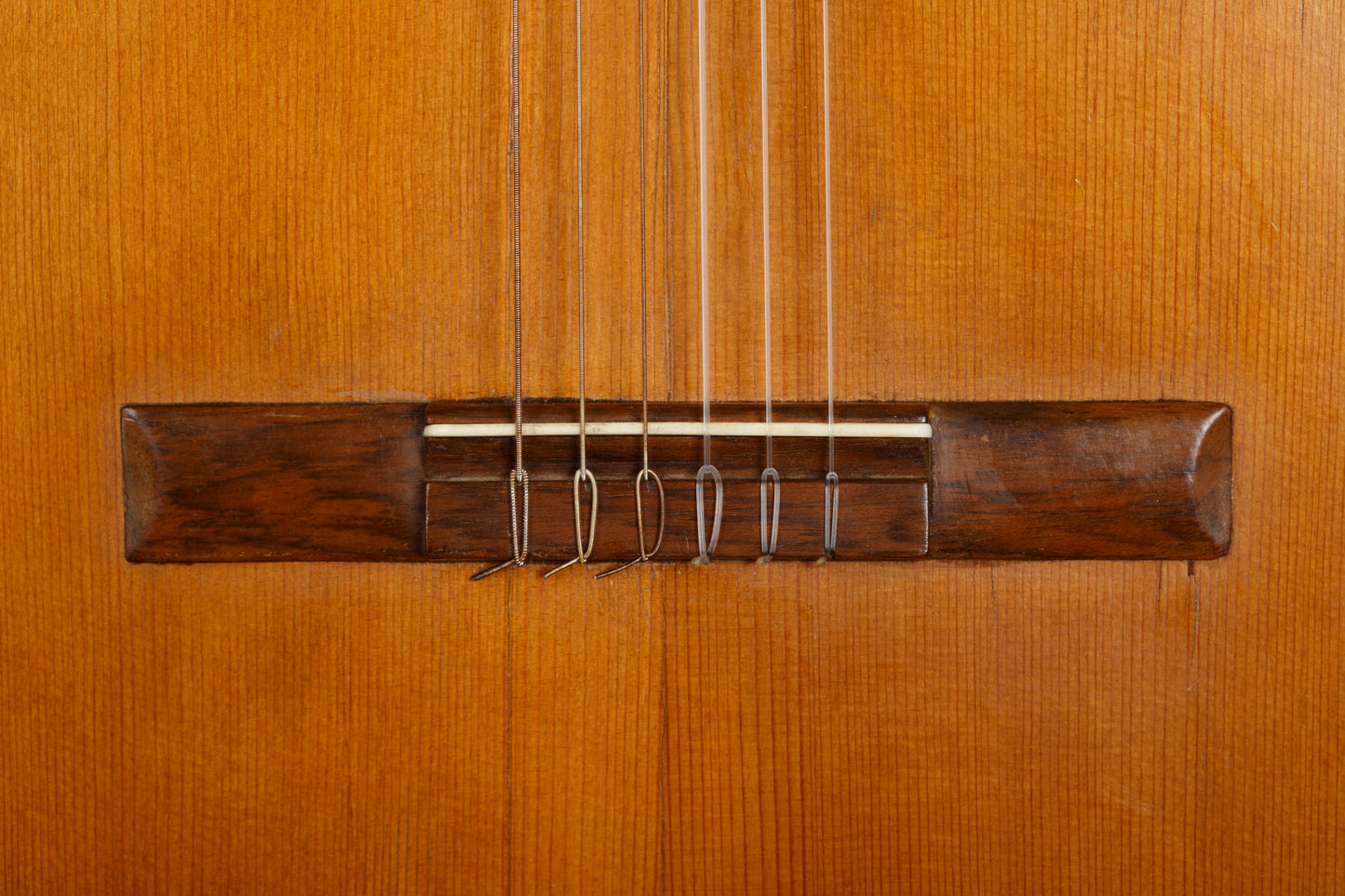 Vicente Arias 1893 Spruce / Walnut