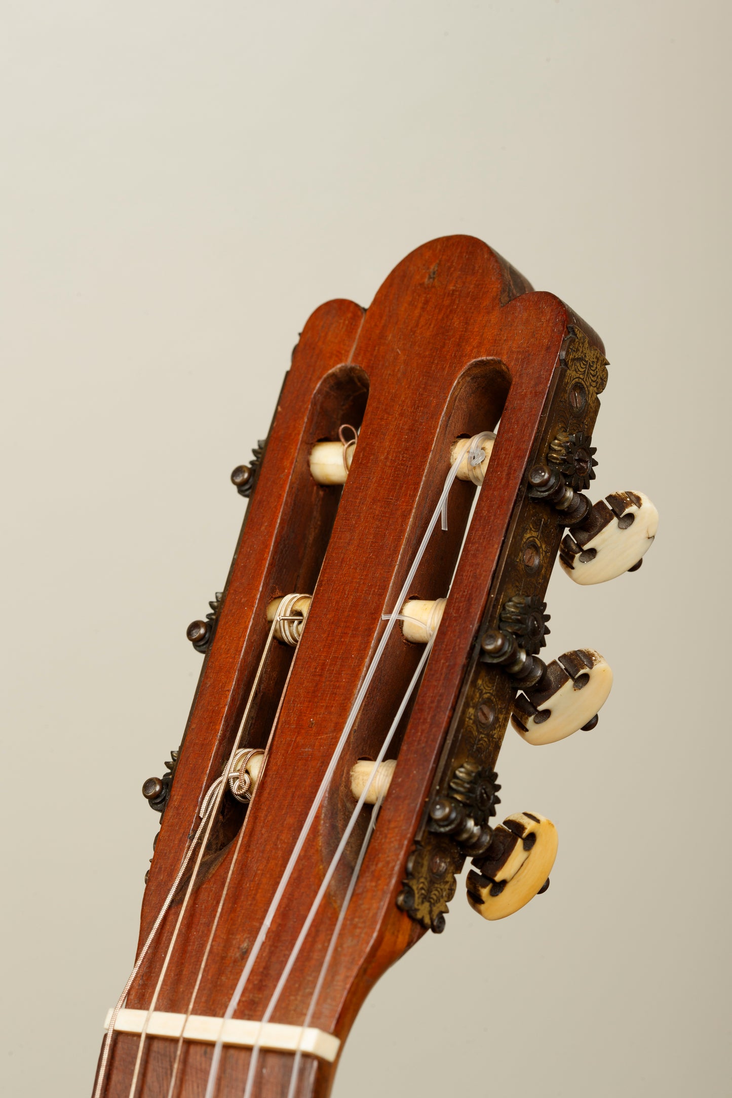 Vicente Arias 1893 Spruce / Walnut