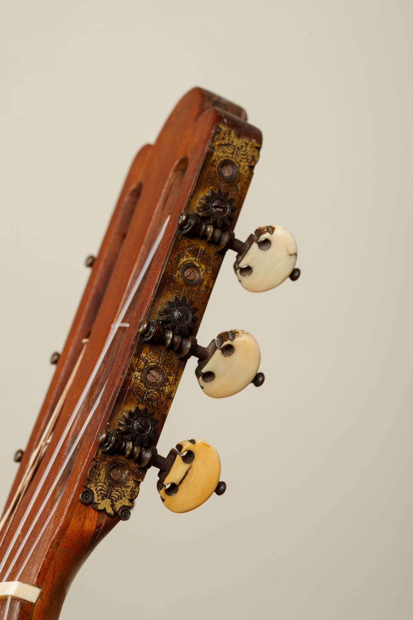 Vicente Arias 1893 Spruce / Walnut