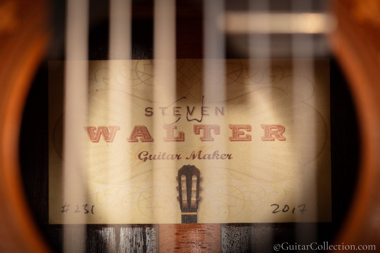 Steven Walter 2017 #231