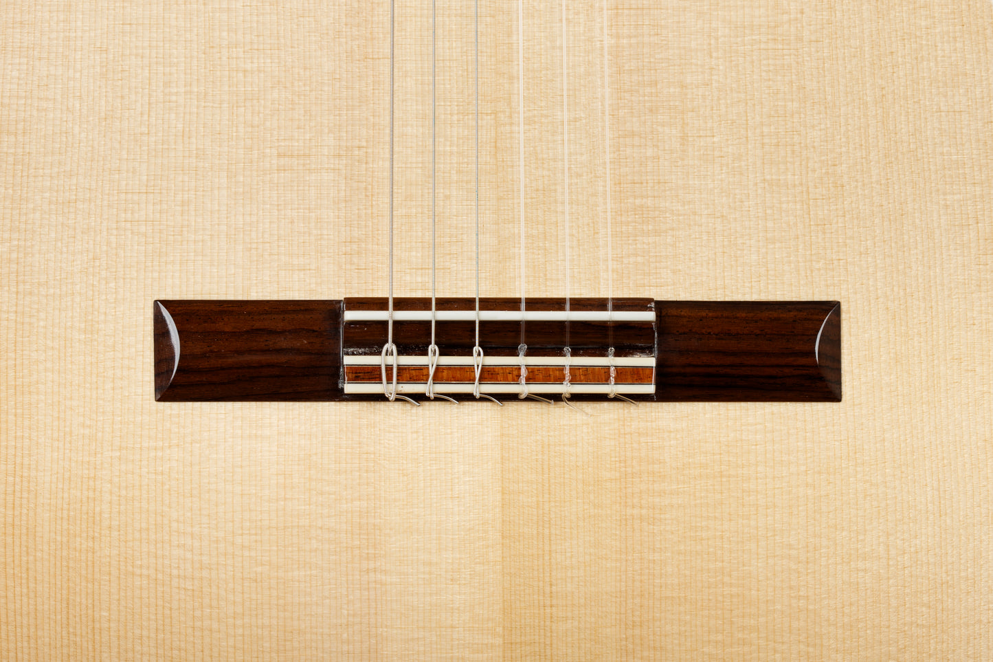 Steve Walter 2023 Spruce / Indian Rosewood