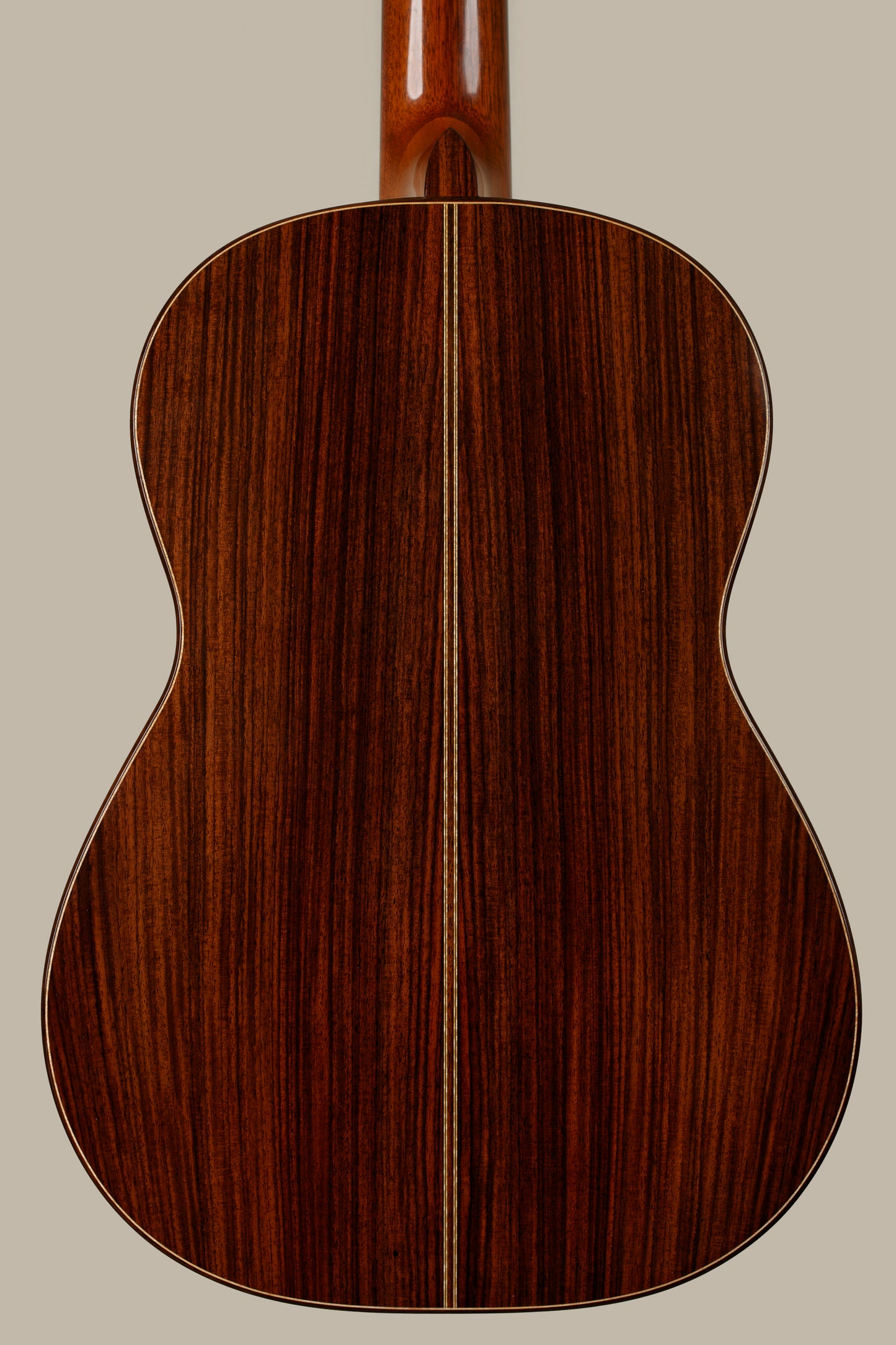 Steve Walter 2023 Spruce / Indian Rosewood
