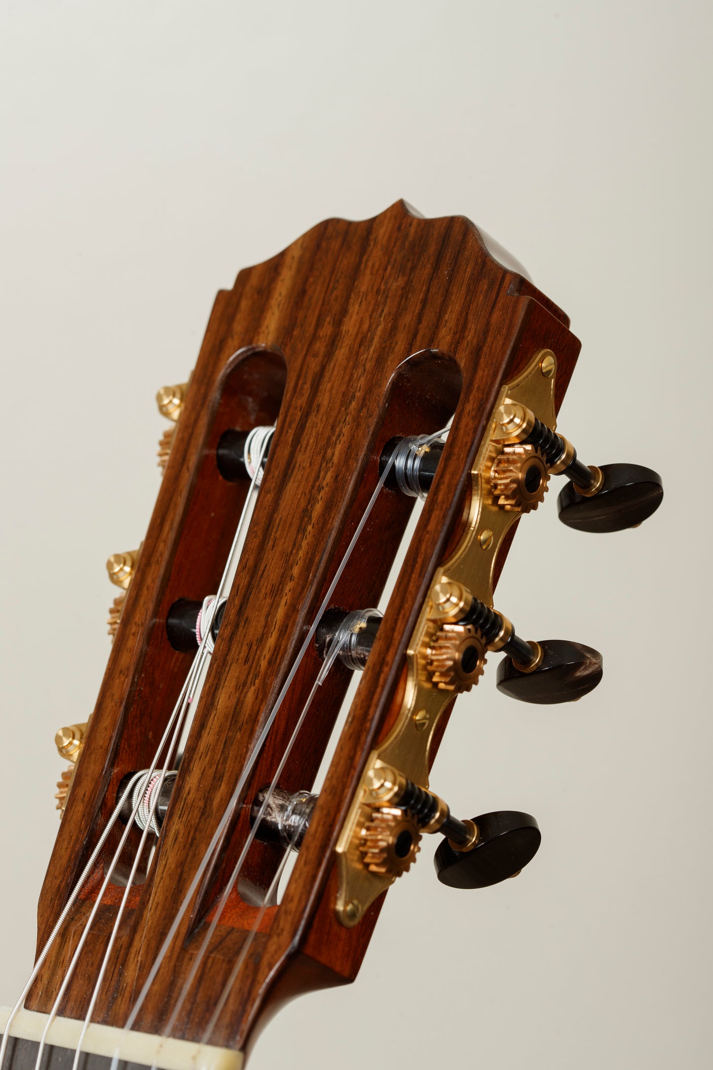 Steve Walter 2023 Spruce / Indian Rosewood