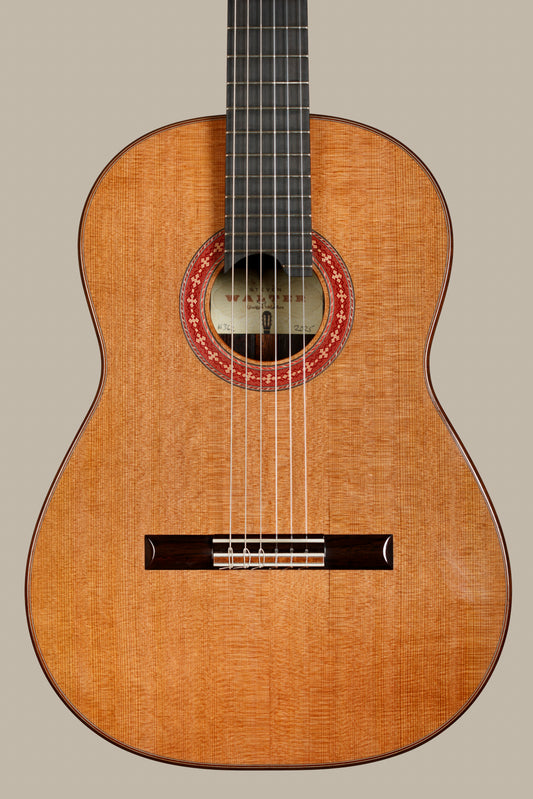 Steven Walter 2025 – Cedar / Brazilian Rosewood