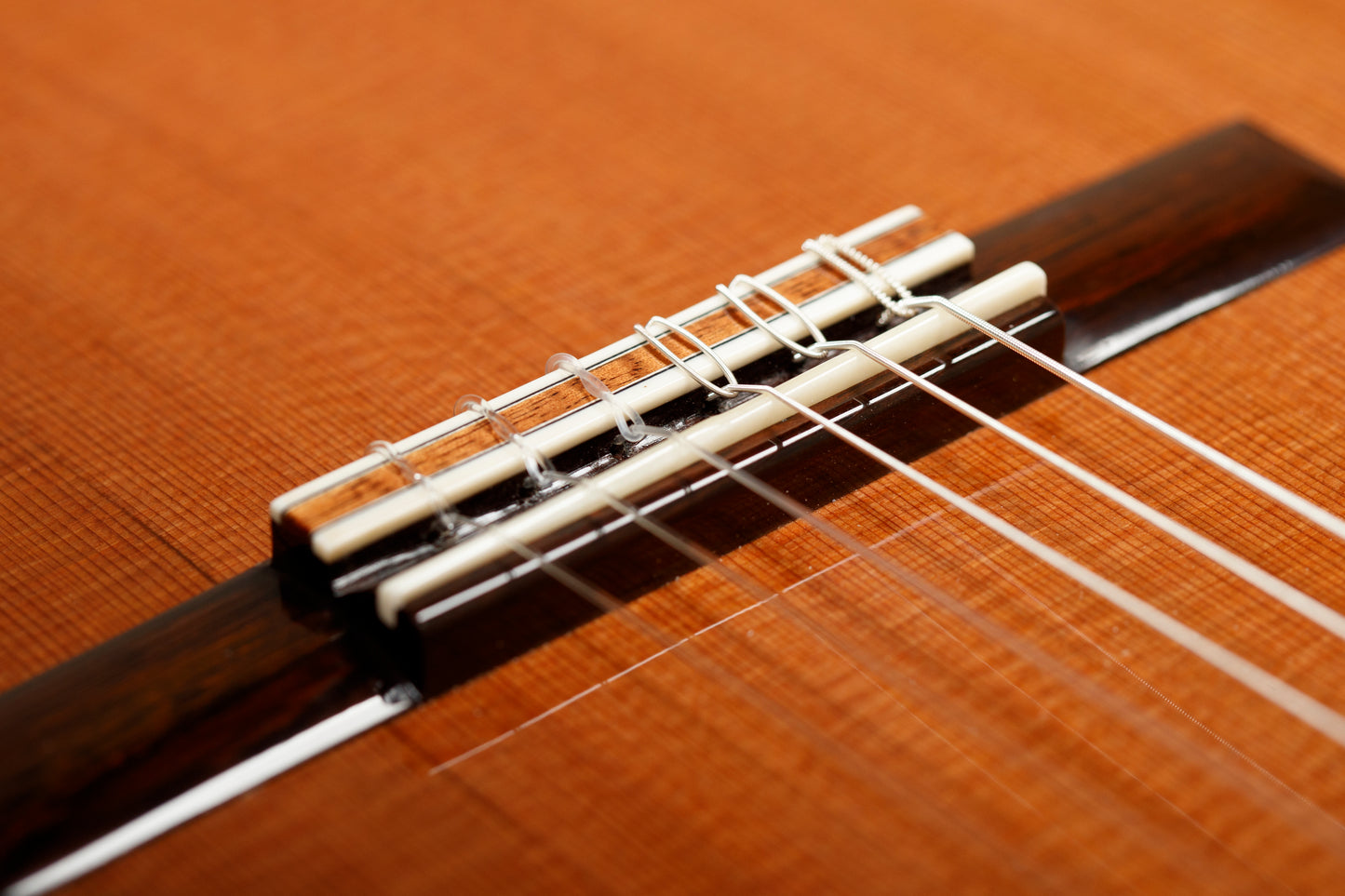 Steven Walter 2025 – Cedar / Brazilian Rosewood