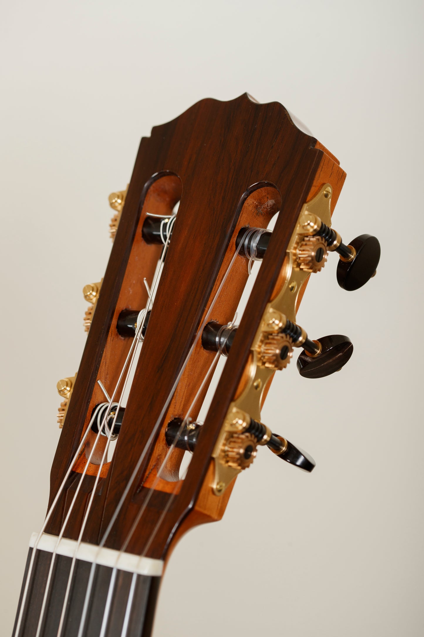 Steven Walter 2025 – Cedar / Brazilian Rosewood