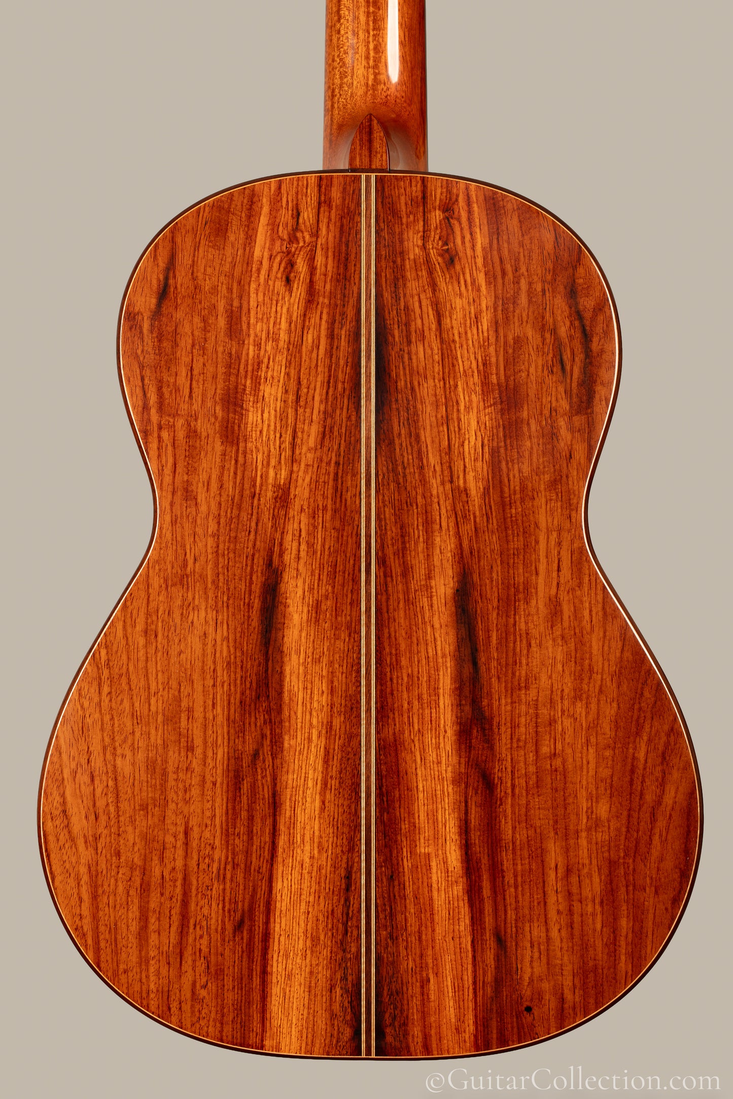 Steven Walter 2026 Cedar/Guatemalan Rosewood