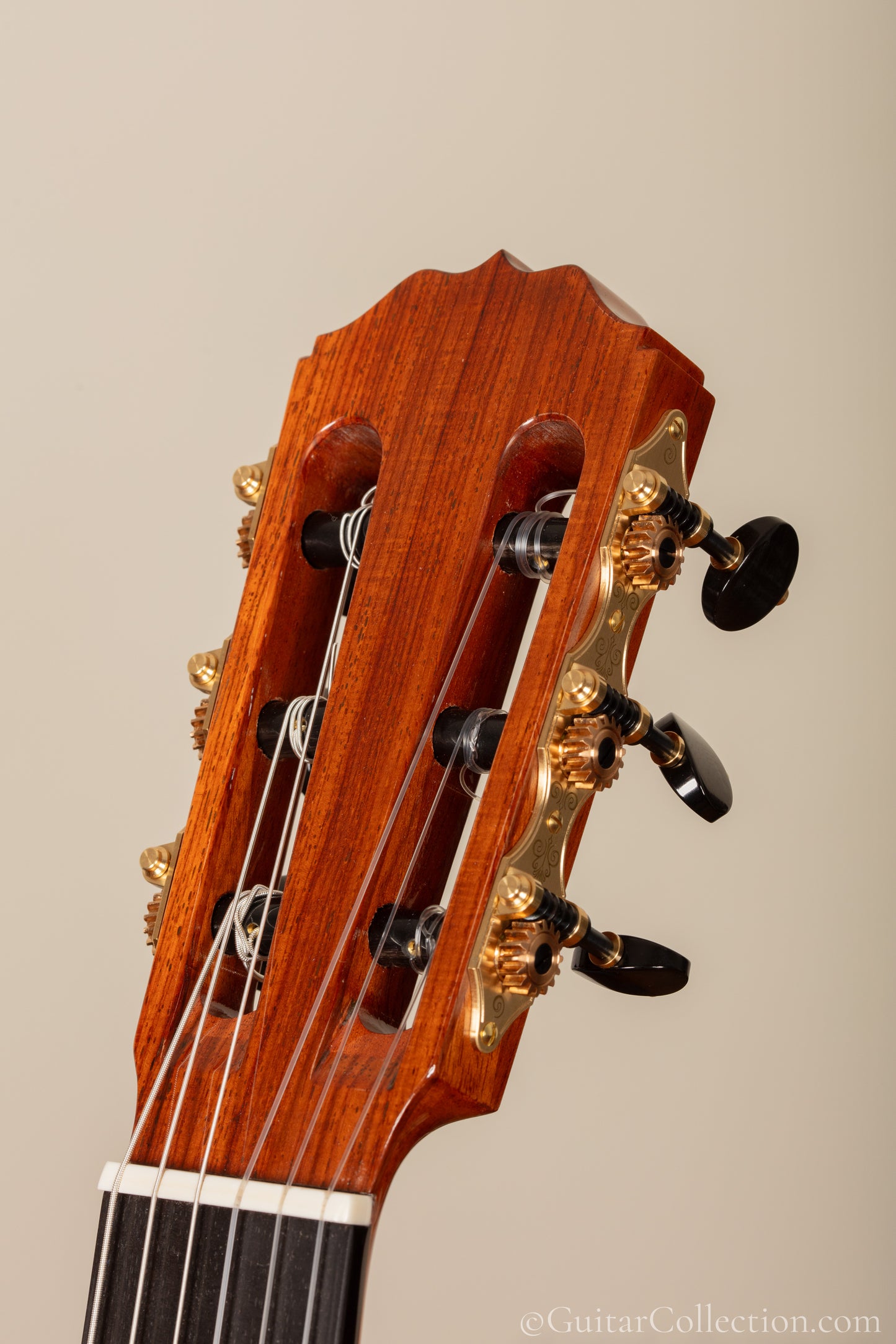 Steven Walter 2026 Cedar/Guatemalan Rosewood