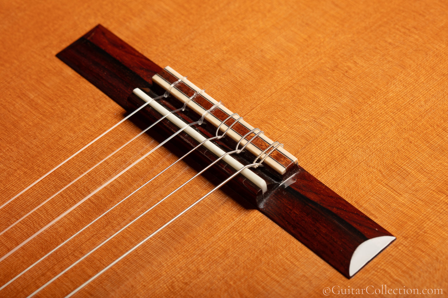 Steven Walter 2026 Cedar/Guatemalan Rosewood