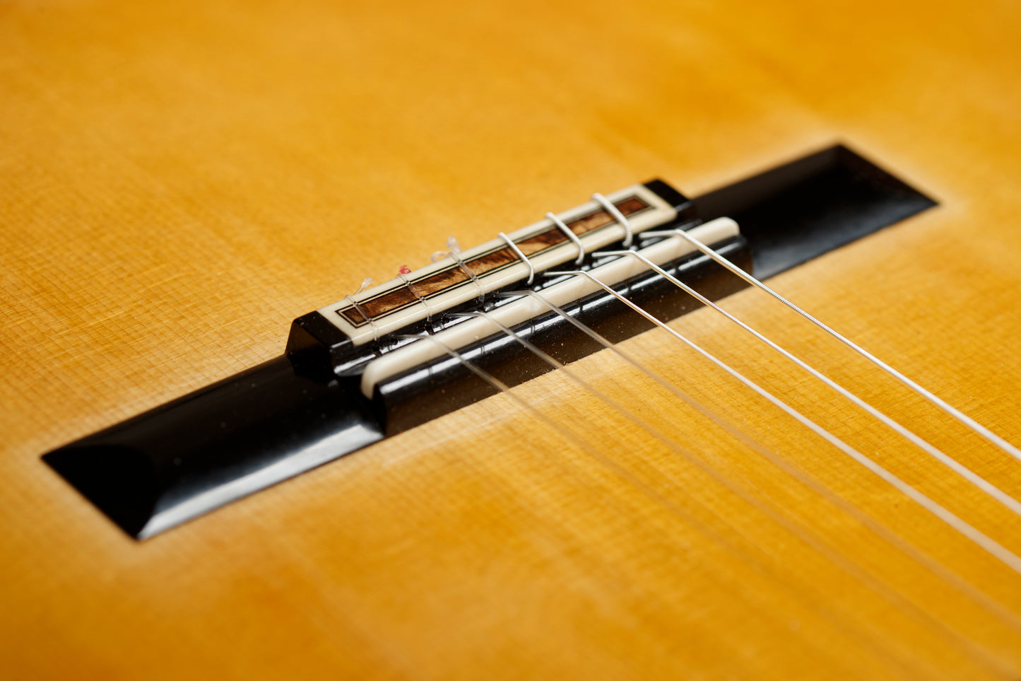 Yan Lei 2025 | Spruce Double Top, Indian Rosewood
