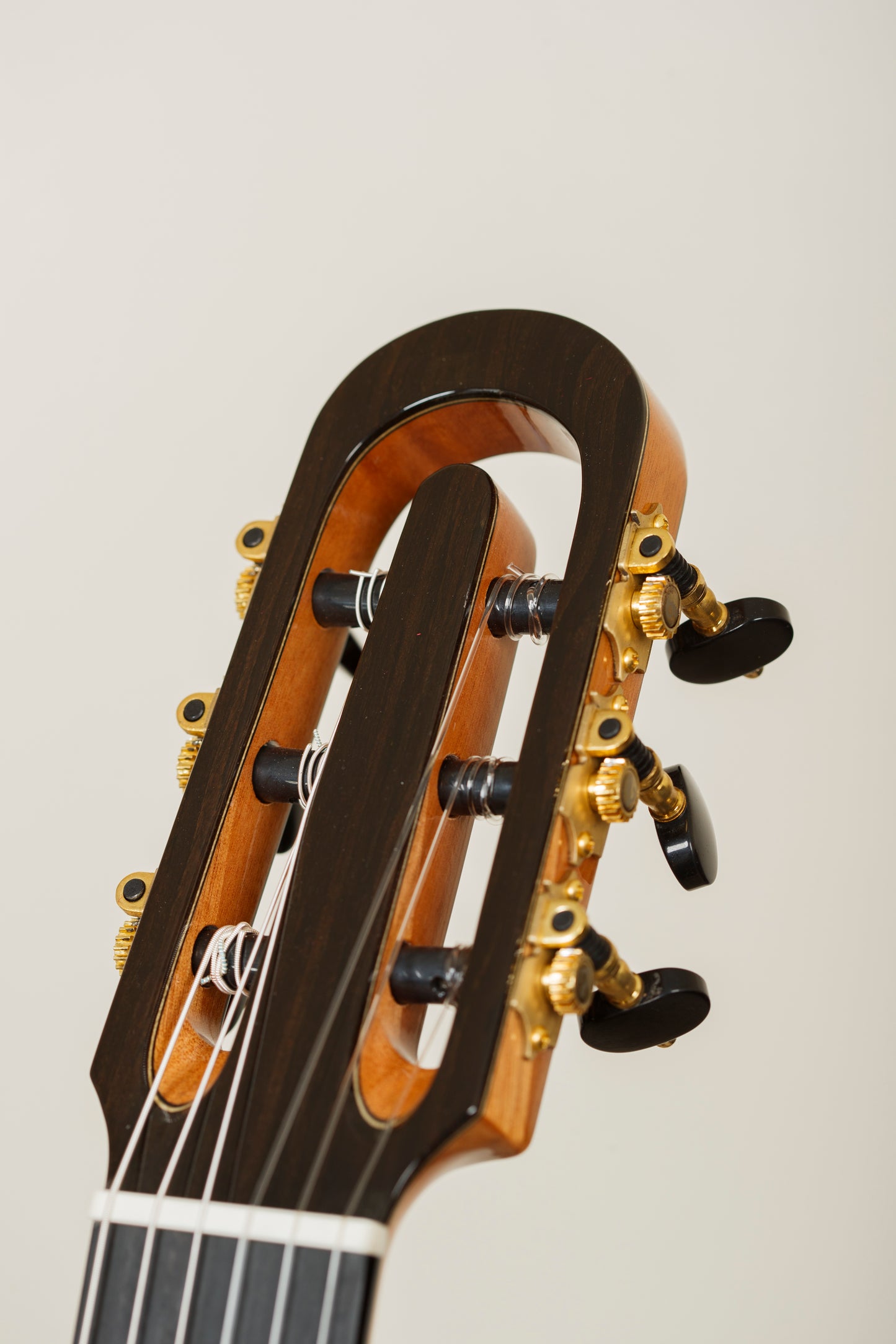Yulong Guo – 2025 Echoes Doubletop, Cedar, Indian Rosewood