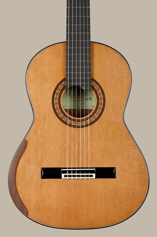 Yulong Guo – 2025 Echoes Doubletop, Cedar, Indian Rosewood