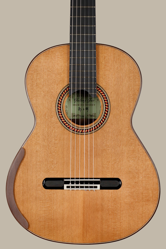 Yulong Guo – 2026 Chamber Concert Model, Cedar Doubletop, Indian Rosewood