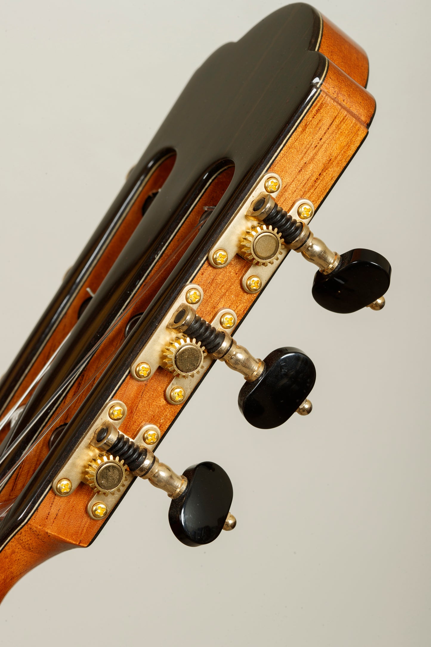 Yulong Guo – 2026 Chamber Concert Model, Cedar Doubletop, Indian Rosewood