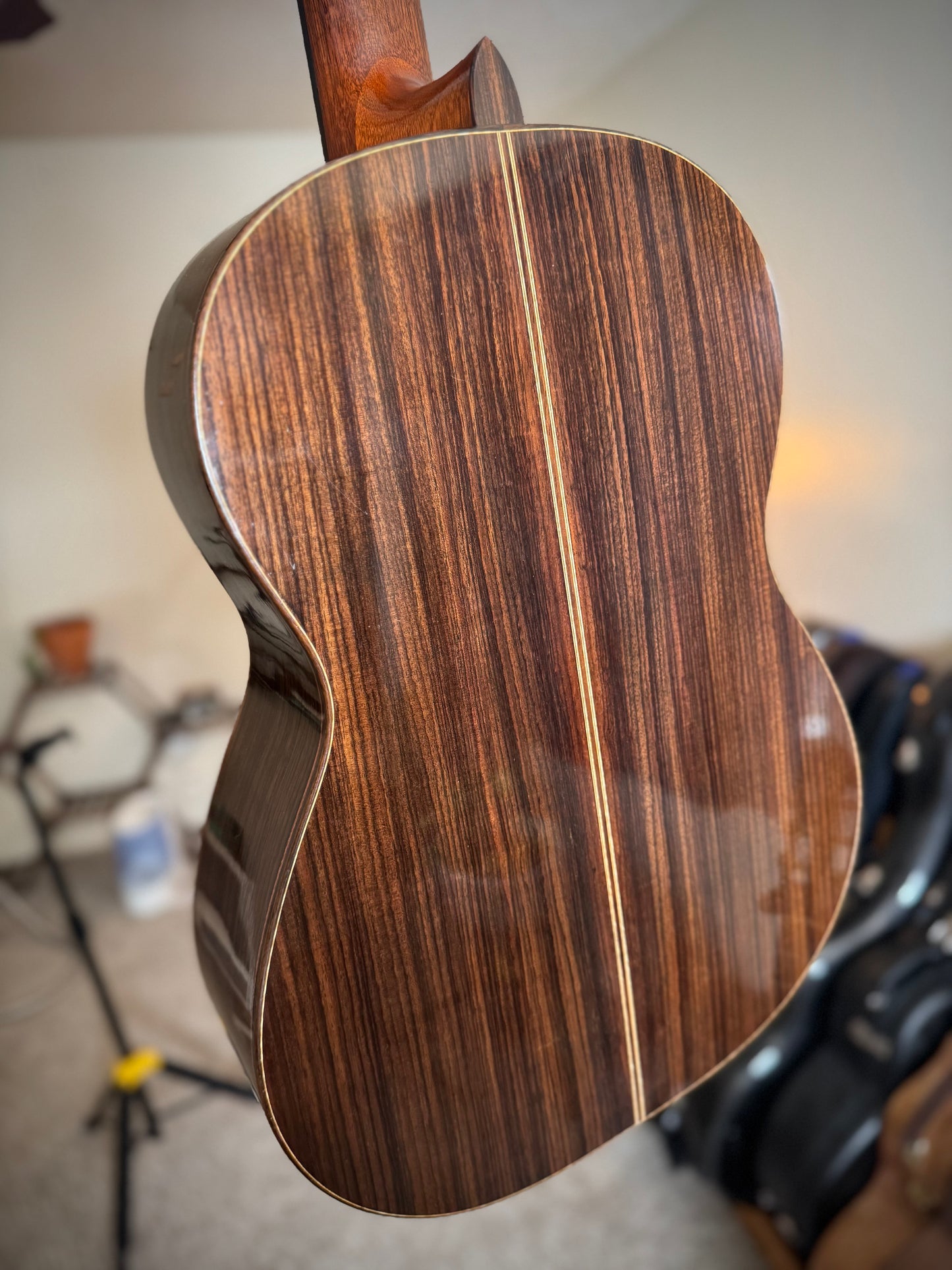 Steven Walter Cedar/Indian 2023 Classical Guitar