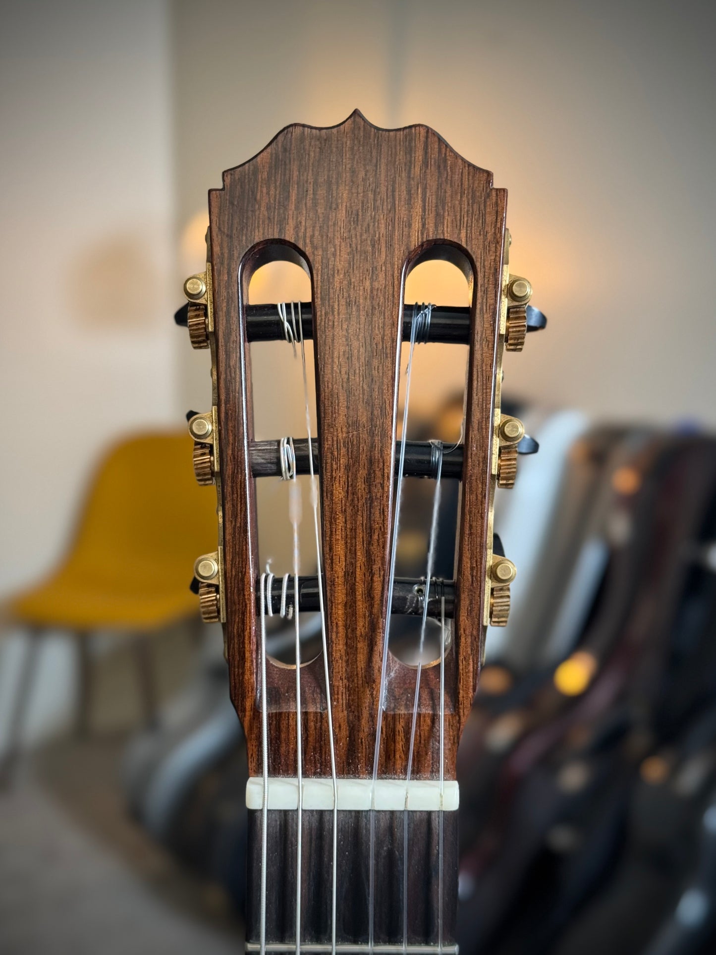 Steven Walter Cedar/Indian 2023 Classical Guitar